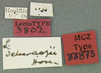 Media type: image;   Entomology 33873 Aspect: labels